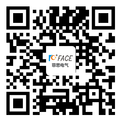 FACE ELECTRIC CO .,LTD